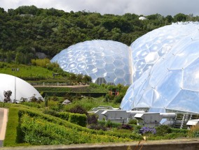 雅帆生物科技，引领生物科技新纪元